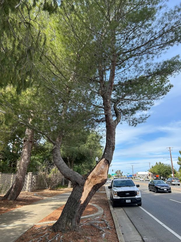 3372-3348 W El Camino Dr.