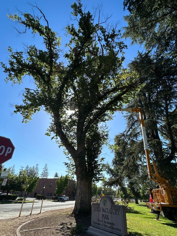 3500 5th Ave - McClatchy Park