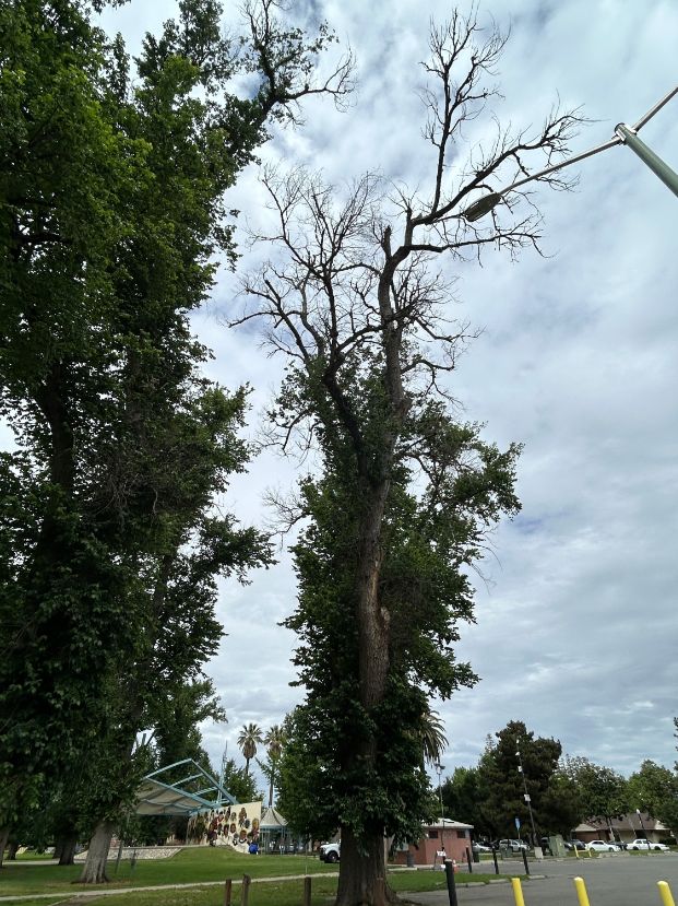 3800 W Land Park Dr - Wm Land Park