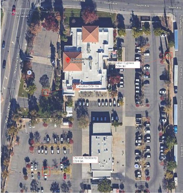 3550 Marysville Blvd.