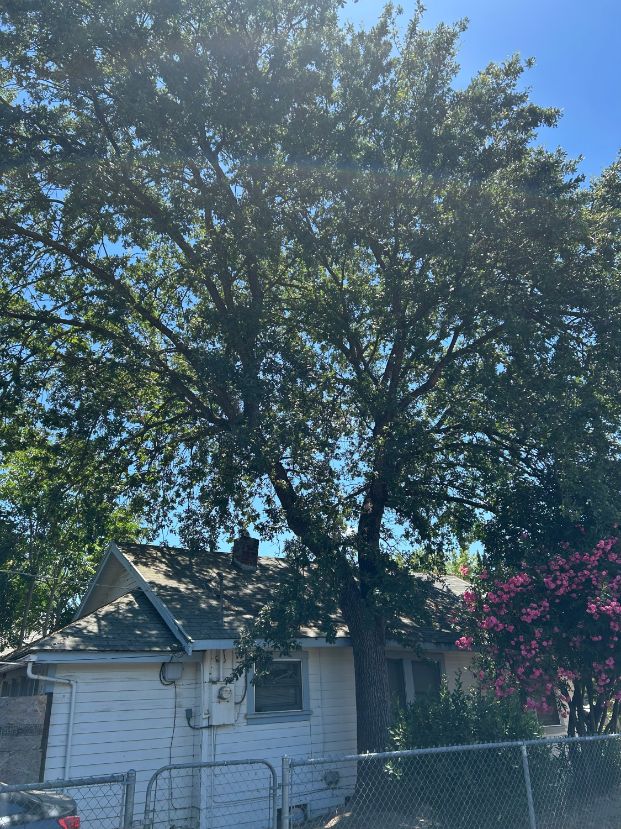 3601 19th Ave