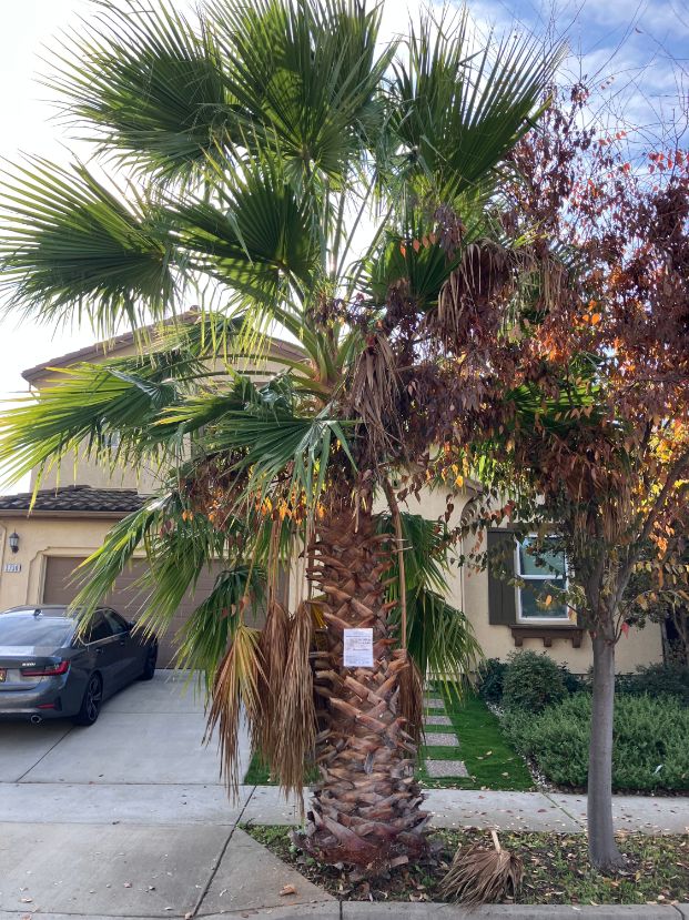 3730 Sardinia Island Way