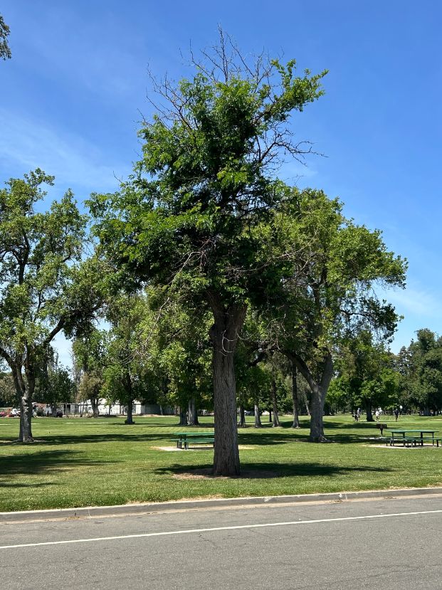 3800 Land Park Dr. - Wm Land Park