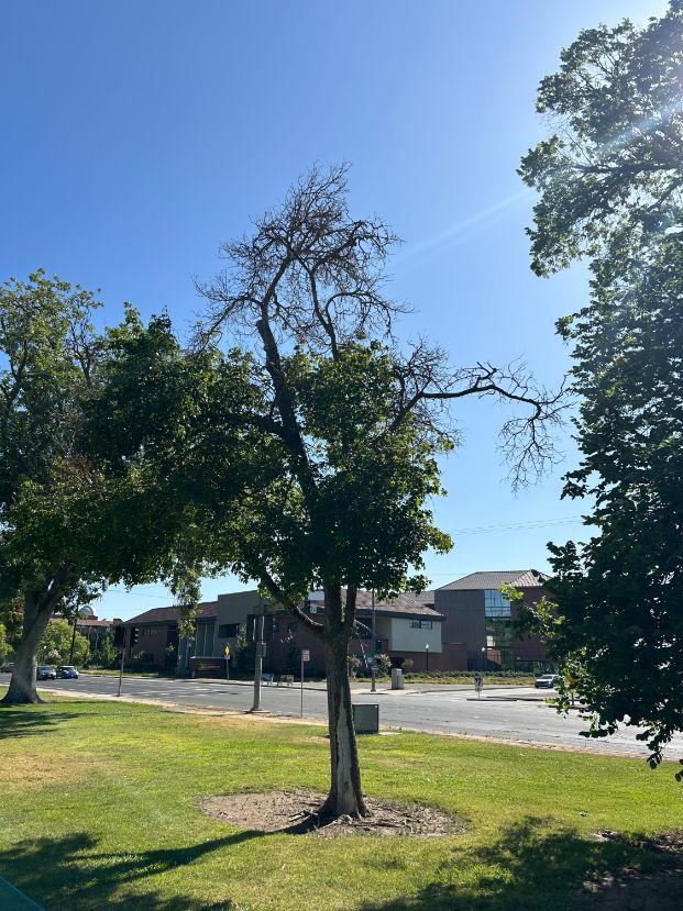  3800 Land Park Dr. - Wm Land Park