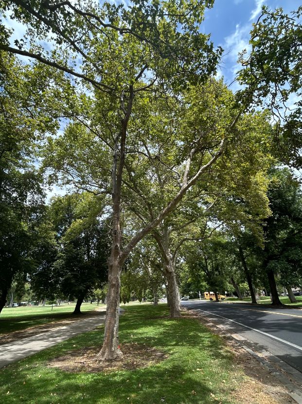3800 W Land Park Dr (Land Park)