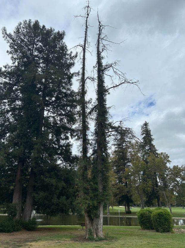 3800 W Land Park Dr (Land Park)