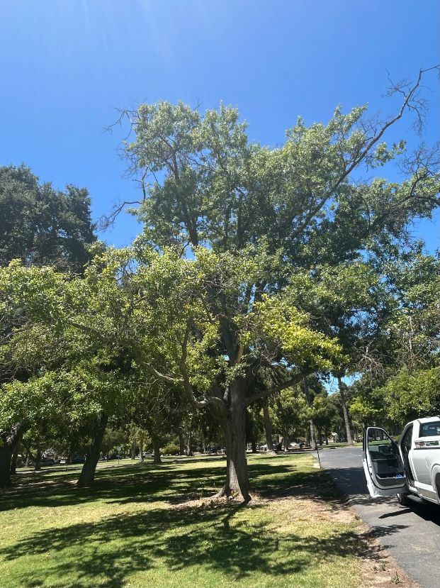  3800 W Land Park Dr (Wm Land Park)