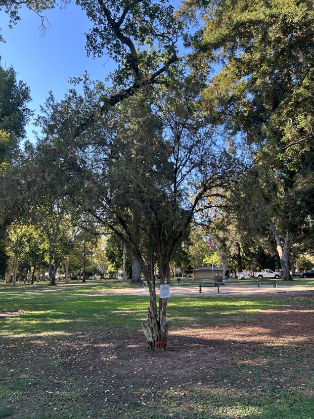 3800 W Land Park Drive (William Land Park)