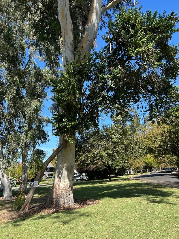 3800 W Land Park Dr (William Land Park)
