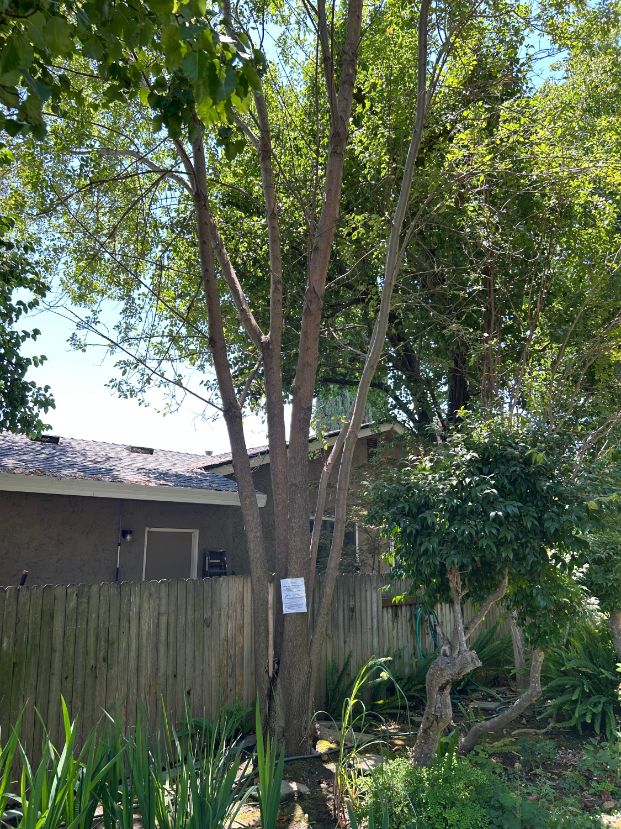 39 Park Vista Circle