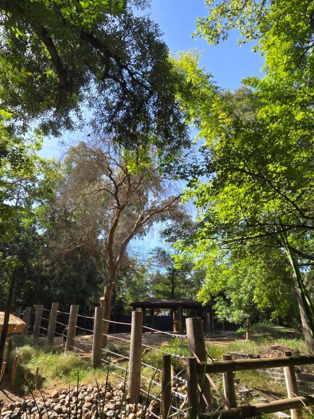 3930 W Land Park Dr - Zoo