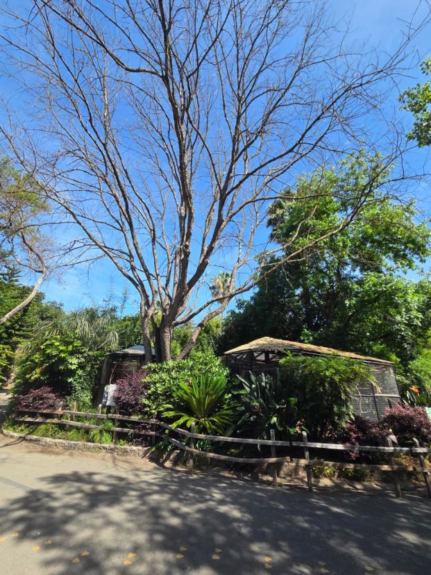 3930 W Land Park Dr - Zoo