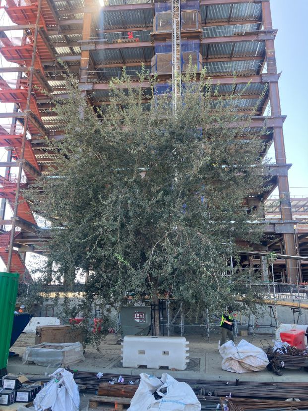 400 Railyards (200 Summit Tunnel Ave)