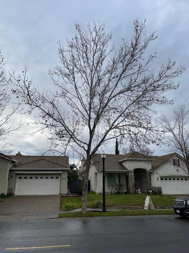  400 Regency Park Cir.