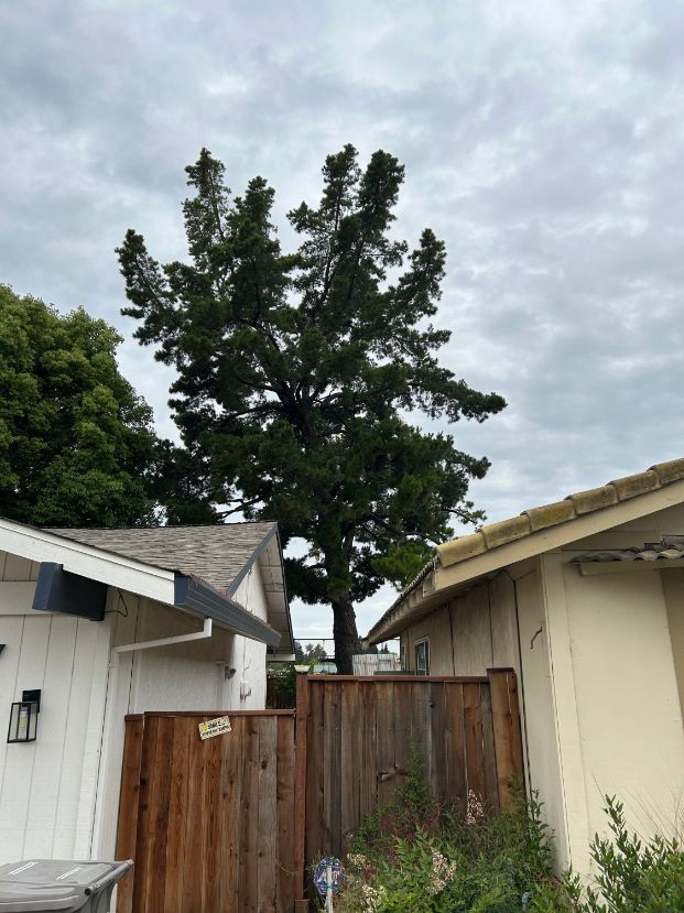 41 Havenwood Circle (backyard)