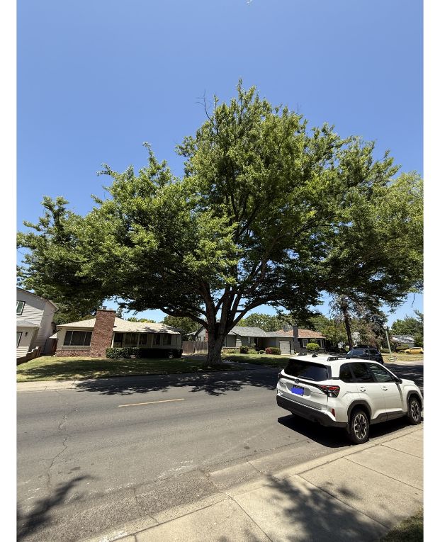 4105 McKinley Blvd