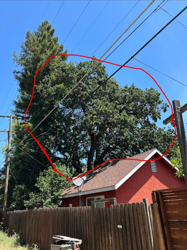 4240 55th St (Backyard)