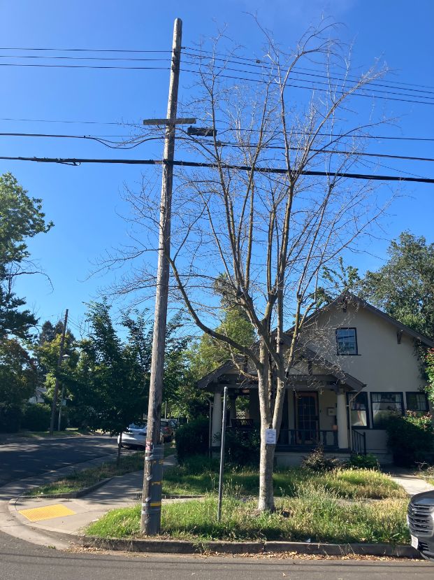 4246 2nd Ave
