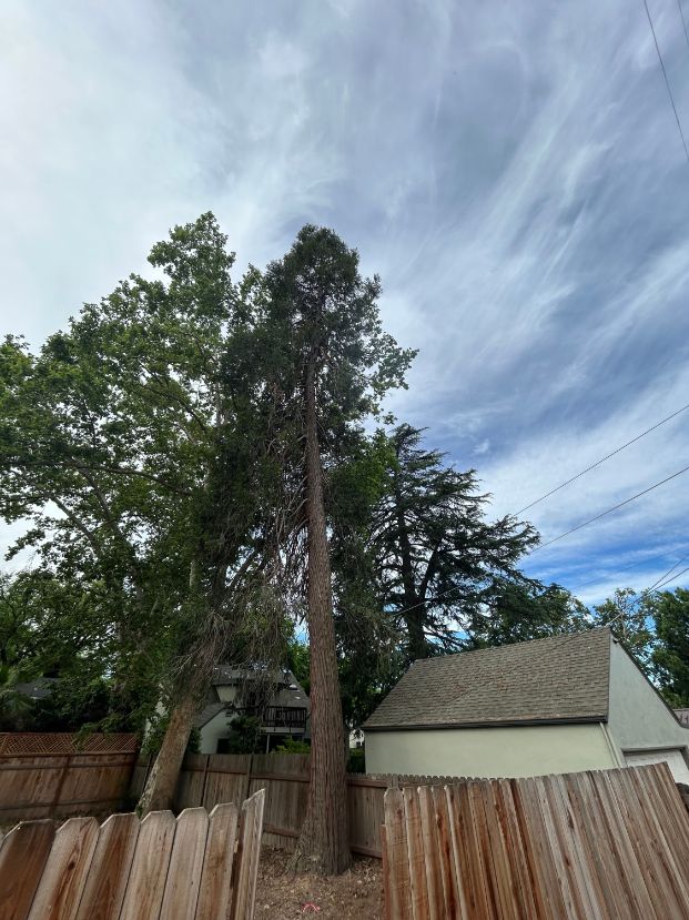 4327 T St. (Rear Lot)