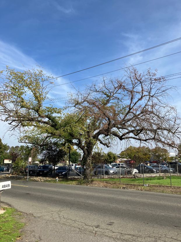 4820 Marysville Blvd