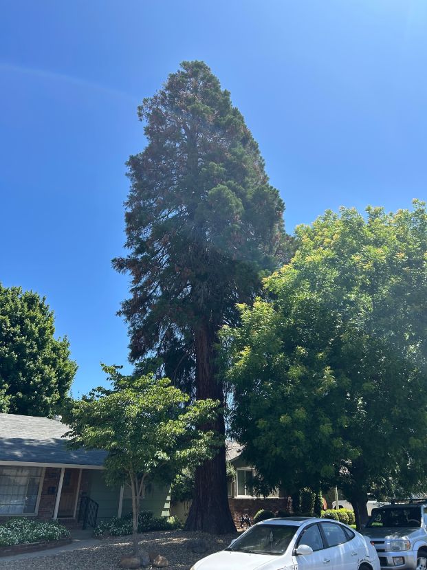 5309 Camellia Ave.