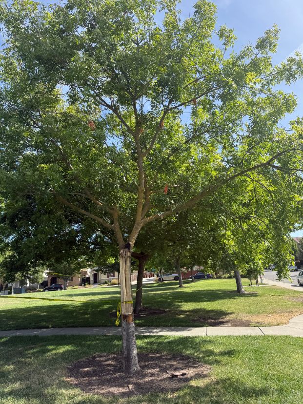 5401 Westhampton Wy (Westhampton Park)