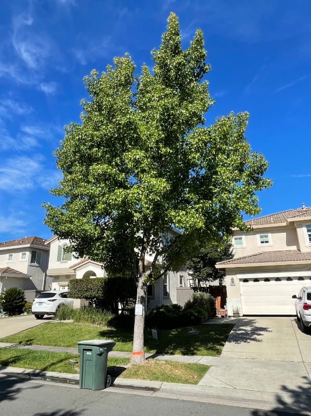 5413 Dunlay Dr