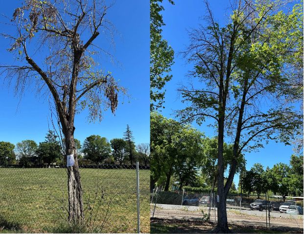 5415 Sandburg Dr. - Glen Hall Park