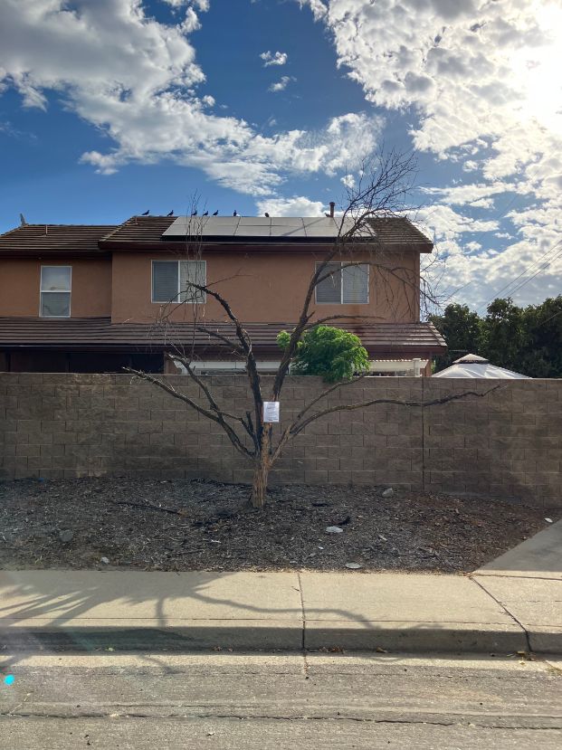 58 Pointsettia Ct.