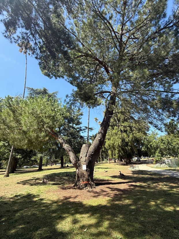 601 Alhambra Blvd (McKinley Park)