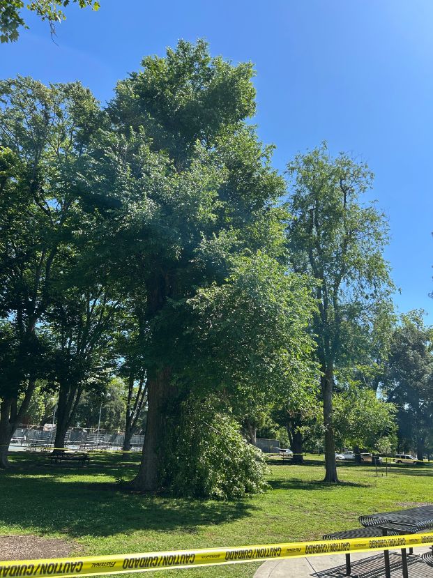 601 Alhambra Blvd - McKinley Park
