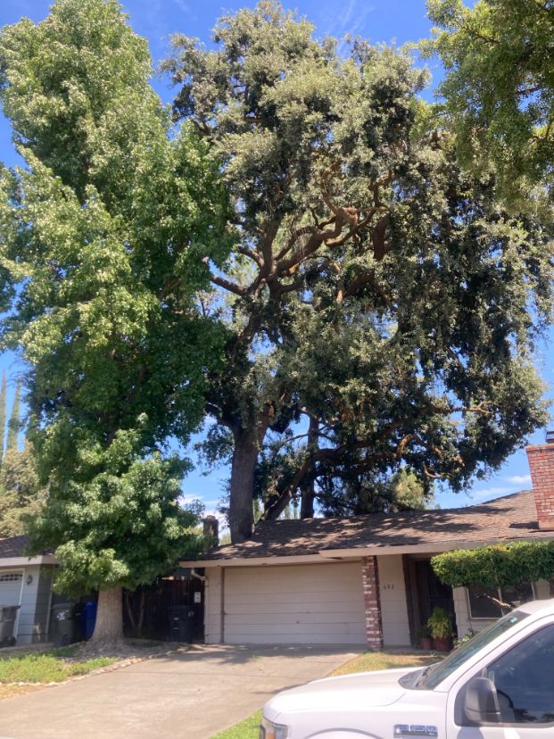 602 Ironwood Way