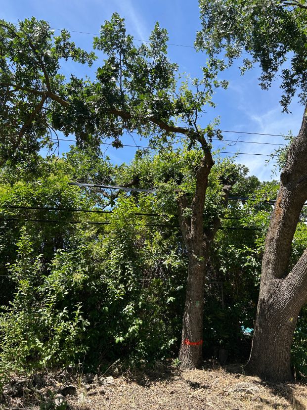 6073 14th St - Del Rio Trail