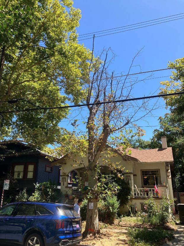 609 22nd St.