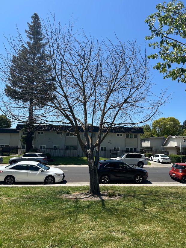 6135 Gloria Dr. - Reichmuth Park 