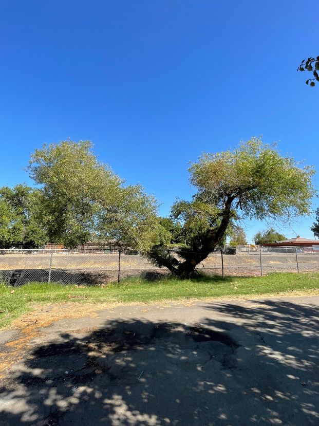 6147 43rd Ave. - DOU