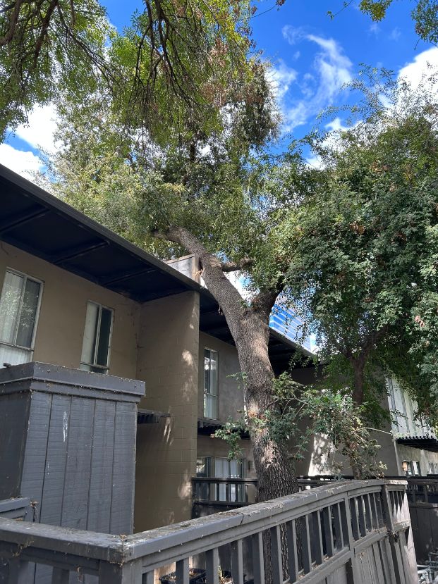 617 P St.