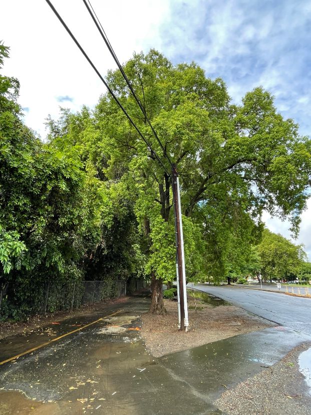 6198 3rd St (bike path)