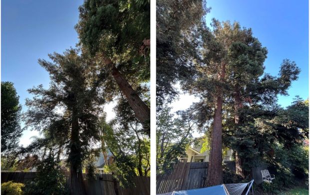 634 Castle River Way - Backyard