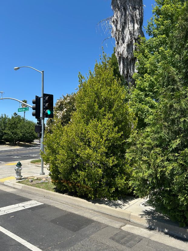 6492 Riverside Blvd.