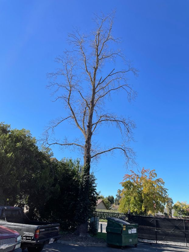 Fire Station #7 - 6500 Wyndam Dr.