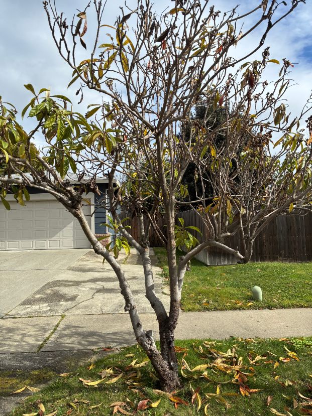 6545 Riverside Blvd.