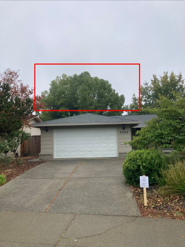 6689 Gloria Dr. 