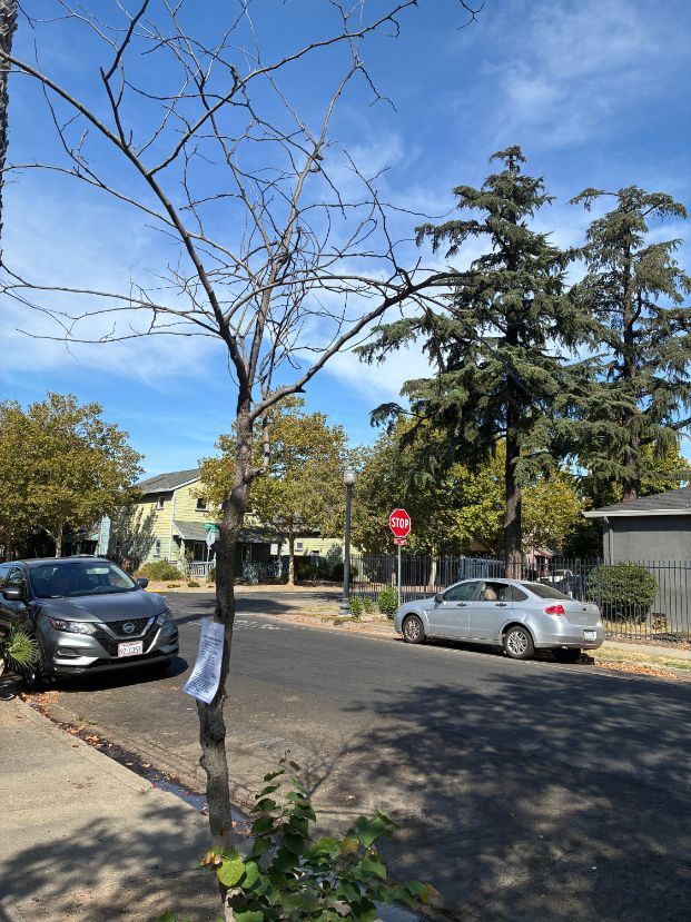 708 Calvados Ave