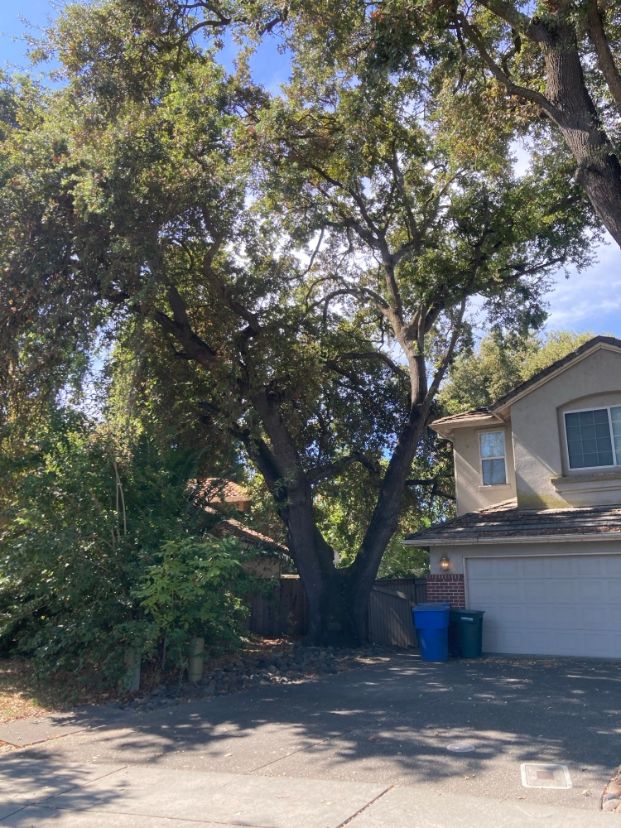 7546 Pocket Road