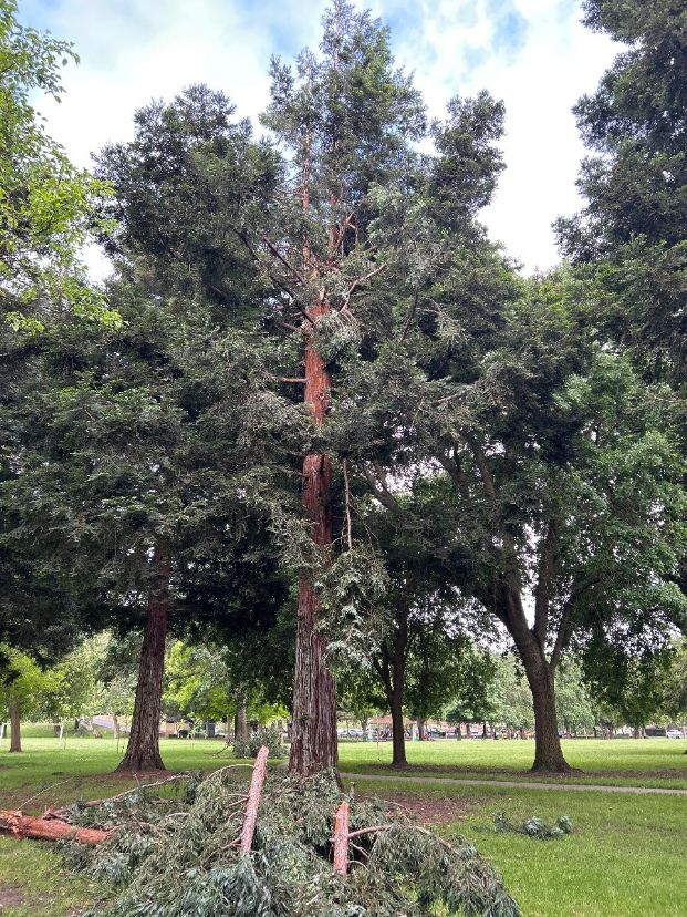  7654 Pocket Rd - Garcia Bend Park