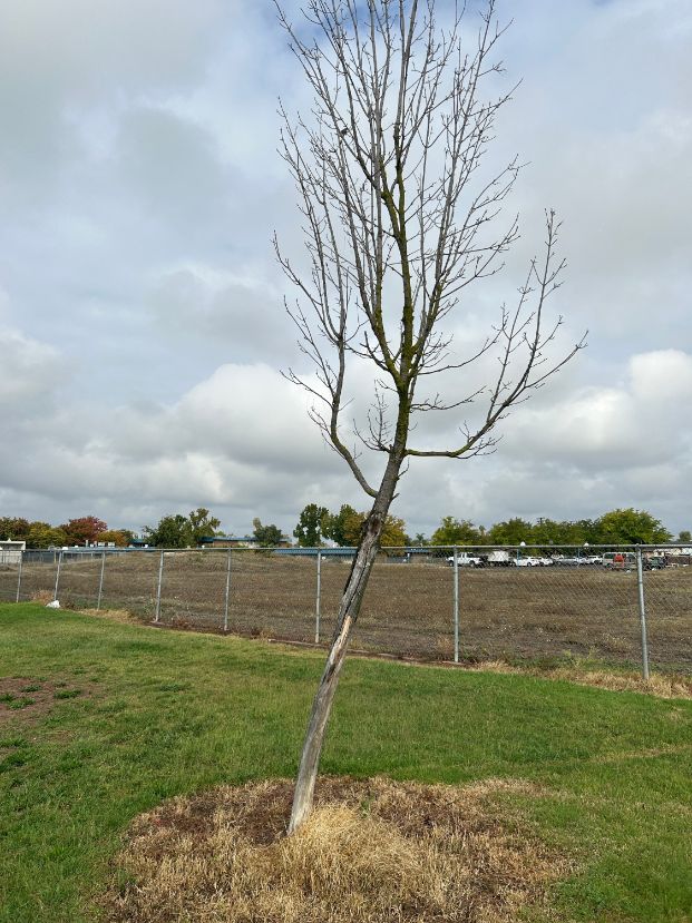  7760 24th St. - Meadowview Park