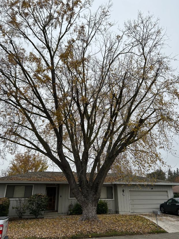 79 Payne River Circle