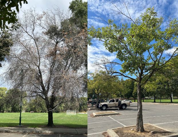  8200 Ramona Ave. - Granite Park Regional Park