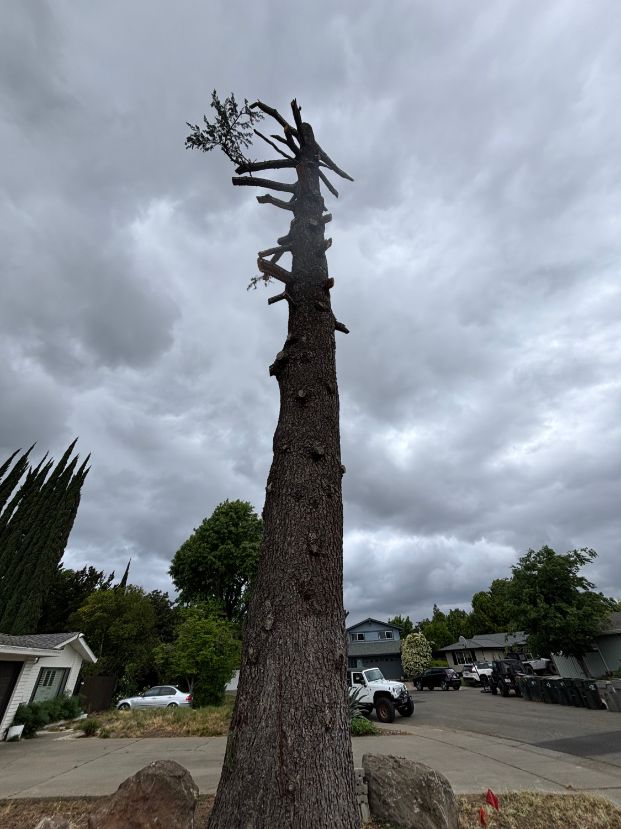 8303 Mediterranean Way